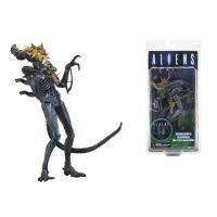 【Thriving】 HelloKimi mall 18ซม. NECA Aliens Vs Predator ส่วนตัว Ripley เสื้อแจ็คเก็ตบอมเบอร์ Xenomorph นักรบต่อสู้ตุ๊กตาของเล่นตุ๊กตาขยับแขนขาได้เสียหาย