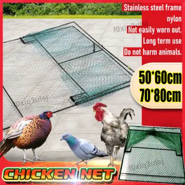 Shop Chicken Net Small with great discounts and prices online