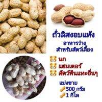 HOT** ถั่วลิสงอบแห้ง 1กิโล สำหรับนกแก้วและสัตว์ฟันแทะ แบ่งขาย เกรดอาหารว่างสำหรับสัตว์เลี้ยง ส่งด่วน อาหาร นก อาหารนกหัวจุก อาหารนกแก้ว อาหารหงส์หยก