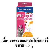 ChangeTer ขนมแมวเลีย สูตรเนื้อปลาแซลมอนผสมโกจิเบอร์รี่ บำรุงข้อและกระดูก ขนาด 40 g.