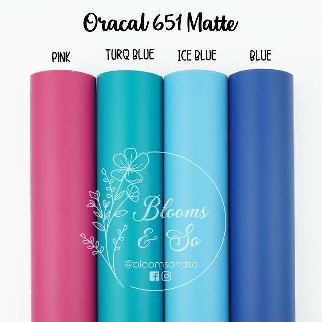Oracal 651 Vinyl Sticker 12x24 Inches Lazada PH