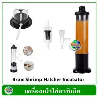 เครื่องเป่าอาทิเมีย Artimia ฟัก อาร์ทิเมีย Brine Shrimp Hatcher Incubator