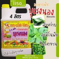 พร้อมส่ง? บุเรงนอง ขนาด 4 ลิตร อะมิโนพืช+สาหร่าย+ไคโตซาน+น้ำตาลทางด่วน อาหารพืช ใช้ฉีดพ่นทางใบ ฉีดพ่น พืชผักสวนครัว