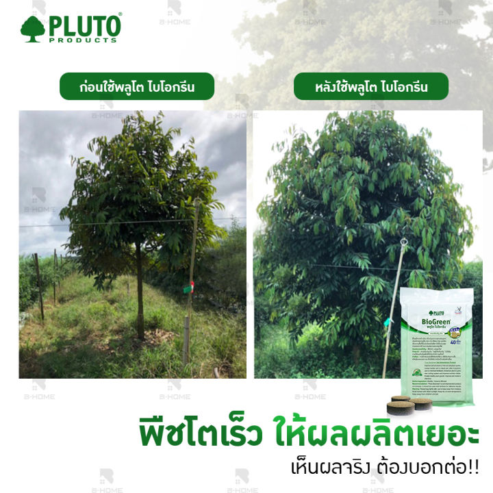 ปุ๋ยพลูโต-จัดส่งฟรี-pluto-biogreen-จำนวน-40-เม็ด-ปุ๋ยไบโอกรีน-ปุ๋ยเม็ด-พลูโต-เป็นปุ๋ย-ปรับปรุงสภาพดิน-เพิ่มผลผลิต-ป้องกันเชื้อรา-ใช้งานง่าย-gd-plu40-g100-02