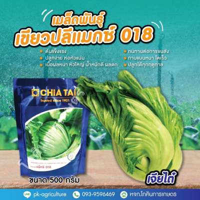 เมล็ดพันธุ์เขียวผักกาดเขียวปลีแมกซ์ 018 (เจียไต๋) ขนาด 500 กรัม