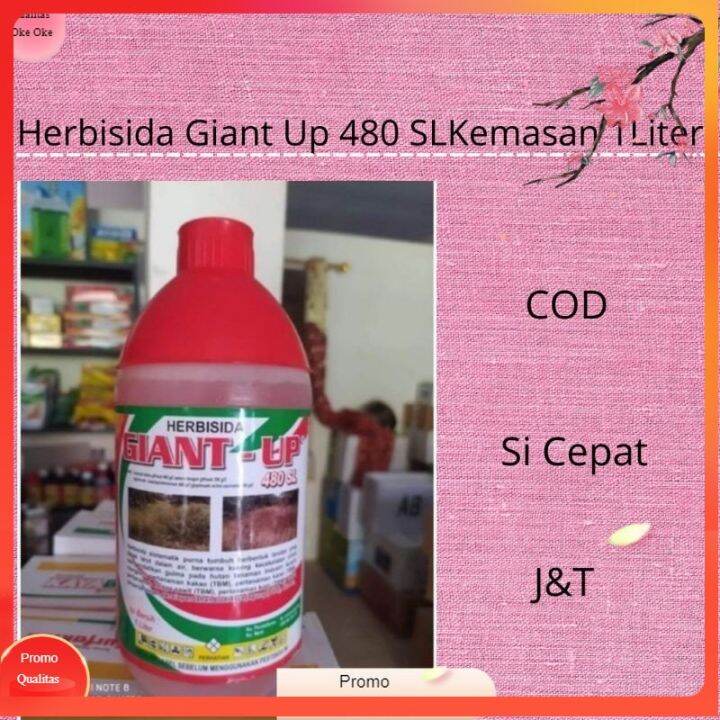 Herbisida Giant Up 480 Slkemasan 1liter Glifosat Obat Rumput Sistemik