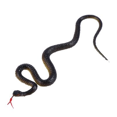 【YF】♂❁  Snake Snakesrealistic Fake Rubber Prank Props Prop Real Away Keep Birds To Haunted Tricky