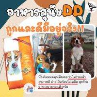 HOG อาหารสุนัข  DogDayเกรดซุปเปอร์พรีเมี่ยม 12 กก  ครายบน้ำตา ถนอมไต อาหารหมา  สำหรับสุนัข