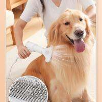 【CW】 2-In-1 Dog Dryer Hair and Comb Grooming Fur Blower Low Noise Temprature