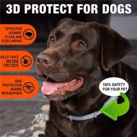 Special Offers Dog Cat Flea And Tick Collar Dogs 8 Months Safe Protection Dog Antiparasitic Collar Insect Repellent Cats Collars Pet Supplies