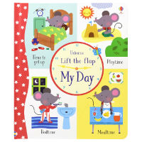 Usborne lift the flap my day