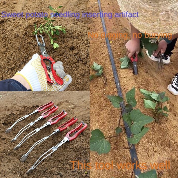 พร้อมสต็อก-สิ่งประดิษฐ์ต้นกล้ามันฝรั่งหวานเครื่องมือการเกษตร-transplanter-ต้นกล้า-transplanter-ต้นกล้า-มันเทศ-มันฝรั่งสีม่วงและเครื่องพริกไทย