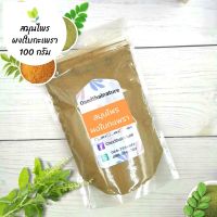 ผงกะเพรา บดละเอียด แท้ 100%  ขนาด 100 กรัม  สมุนไพร ผงกะเพรา กะเพรา (Holy basil powder)