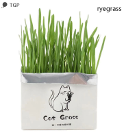 ? TGP Soilless Organic catgrass ขนมแมวปลูกหญ้าแมวปลูกหญ้าถุง