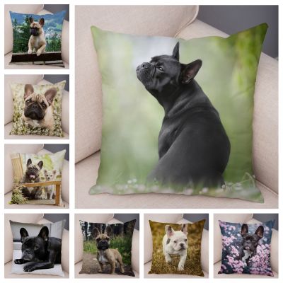 【CW】▤✘✗  French Bulldog Pillowcase Sofa Car Decoration Dog Cushion Cover Printed 45x45cm