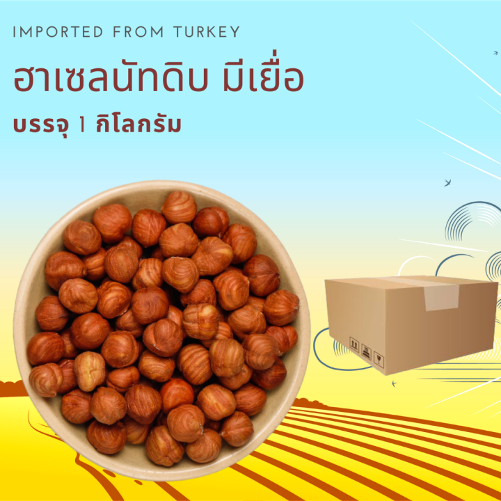 ฮาเซลนัทดิบ 10 กิโลกรัม Raw Hazelnuts 10 kg Lazada.co.th