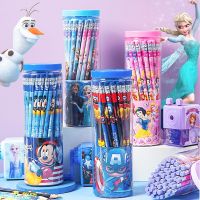 30Pcs/Set Disney Frozen Cartoon Pencil HB Sketch Items Drawing Stationery Student School Supplies for Kids Gift