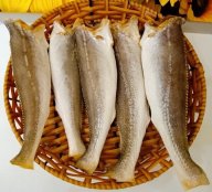 Khô Cá Đù 1 Nắng Loại Ngon , Vừa Ăn, Thịt Dẻo, Ngọt thumbnail