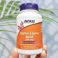 กรดอัลฟาไลโปอิค Alpha Lipoic Acid 250 mg 120 Veg Capsules (Now Foods®) ALA