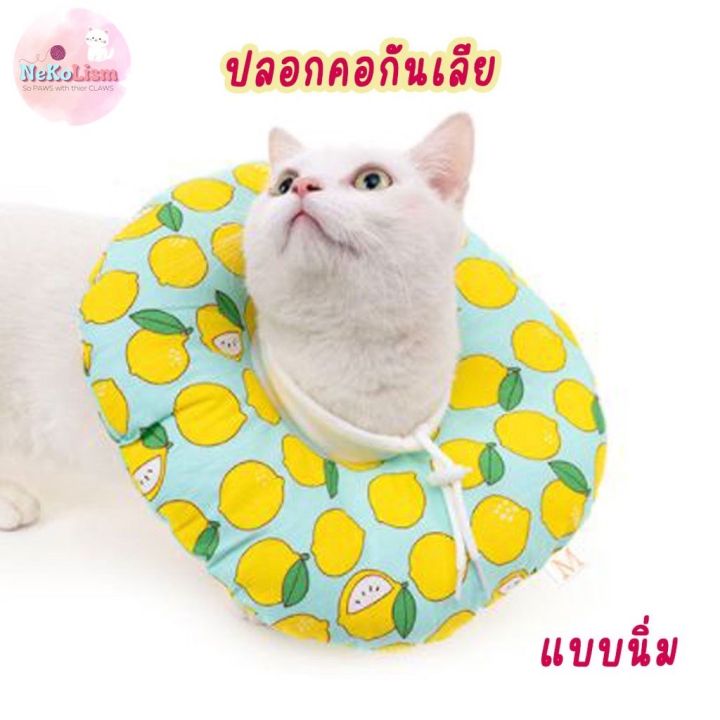 ปลอกคอกันเลียแบบบางบาง-soft-elizabeth-collar-ปลอกคอกันเลียแมว-กันเลียหมา-กันเลียสุนัข