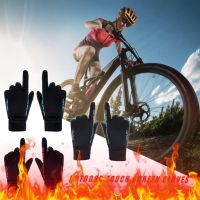 Winter Motorcycle Gloves for Men Women Outdoor Touch Screen Thermal Gloves Motorcyclist Motocross Gloves Waterproof Biker Glove