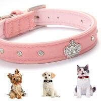 Crown Comfortable Dog Collar Zinc Alloy Buckle Collar For Small Medium Large Dogs Teddy Keji Pitbull Bulldog Beagle