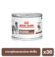 Royal canin Recovery อาหารเปียกสุนัขและแมว สำหรับพักฟื้นและการดูแลหลังผ่าตัด 195g. x36 กระป๋อง (exp:26/03/24)