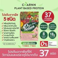 Charnn  Plant based Protein Matcha โปรตีนพืช มาตรฐานระดับโลก ทานง่าย เหมาะสำหรับ คนที่รักการทานอาหารแบบวีแกน