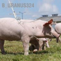 B Uranus324 อุปกรณ์ที่จับหมู แบบสเตนเลส ทนทาน สําหรับฟาร์มหมู