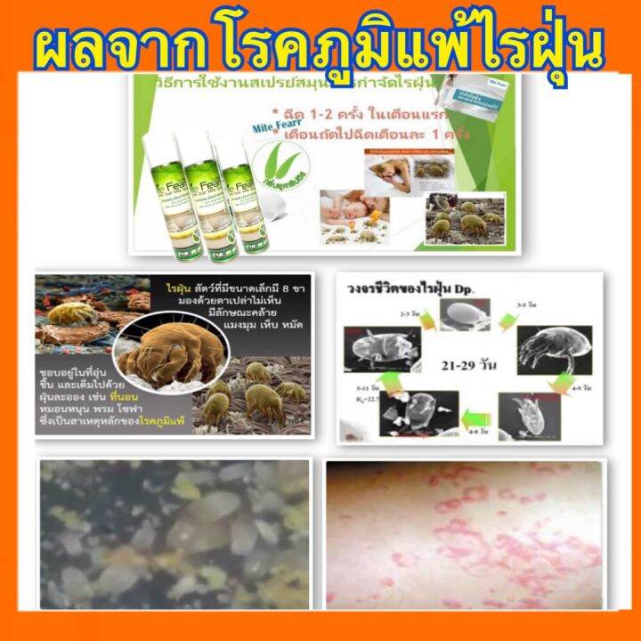 ส่งฟรี-flash-sale-ไรฝุ่น-สเปรย์กำจัดไรฝุ่น-mite-fearr-2-กระป๋อง-mitefearr-ช่วยเรื่อง-ภูมิแพ้ไรฝุ่น-สเปรย์ไรฝุ่น-ป้องกันไรฝุ่น-ฆ่าไรฝุ่่น-กลิ่นยูคาลิ