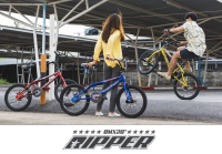 จักรยาน BMX TIGER RIPPER 20" ดิสเบรคหน้า-หลัง แถมฟรีไฟหน้า-ท้าย (มีจัดส่งพร้อมขี่เป็นคัน 100%+รับประกัน)