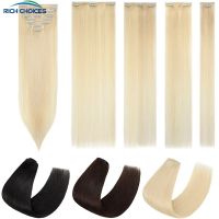 Rich Choices Straight Clip In Hair Extensions 100% Human Hair Thick  Full Head 8pcs Clip In Natural Hair Brown Blonde 10-24 Inch