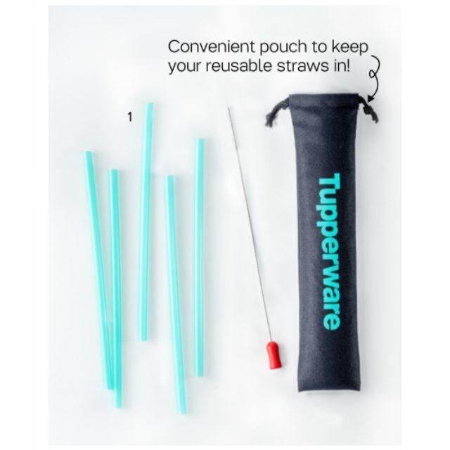 Tupperware Go Eco Straw & Brush Set ( Purple or Blue) Lazada