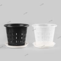 Clear Plastic Orchid Flower Planter Pots Tray Holes Air Function Root Growth Container Slots Wall Hanging Hole Grow Pot YB8TH