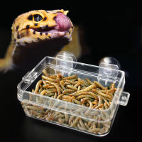 Mangouu Amphibians Reptile Basin สัตว์เลื้อยคลาน Anti-Escape Feeder หนอนอ่างให้อาหารเต่า Lizard Crawler ชามใส่อาหาร