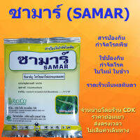 ซามาร์ (SAMAR) สารป้องกันกำจัดโรคพืช ใช้ป้องกันกำจัดโรคใบไหม้ ในข้าว