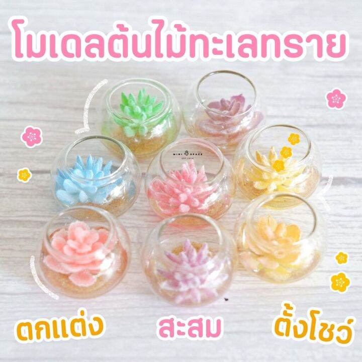 ms5135-โมเดลกระบองเพชรปลอมโหลแก้ว-โหลกระบองเพชร-ถ่ายจากสินค้าจริง-จากไทย