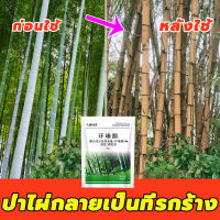 ?ตรงไปที่ราก!!?JIUSHENDIQING ยากำจัดกอไผ่ สารกำจัดกอไผ่ ยากำจัดต้นไม้ ผงกำจัดต้นไผ่ ยาฆ่าตอไม้ 500g สูตรเข้มข้น กำจัดวัชพืชรากเน่า ผลติดทนนาน ไม่เป็นอันตรายต่อดิน บอกลาการตัดต้นไม้ด้วยตนเอง กำจัดต้นไม้ กำจัดกอไผ่ ผงกำจัดกอไผ่ ปุ๋ยกำจัดกอไผ่ สารกำจัดต้นไ