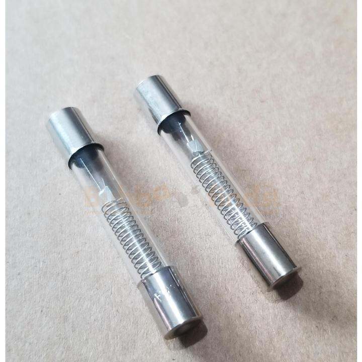Microwave oven fuse 5KV 0.8A 40MM 2pcs Lazada PH