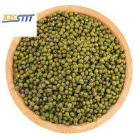 xzcsttt(คุณภาพสูงและการจัดส่งที่รวดเร็ว)绿豆  Mung Bean 620g สามารถใช้ทำโจ๊กถั่วเขียวได้หลายแบบ