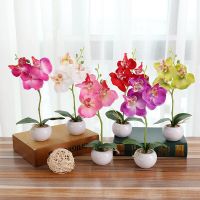 ดอกไม้ปลอมกระถางปลูกต้นไม้พลาสติกกล้วยไม้ Phalaenopsis ขนาดเล็กประดิษฐ์แบบตั้งโต๊ะทั้งหมดตกแต่งสำนักงาน