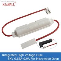 ❅ 5KV Microwave Oven Integrated High Voltage Fuse 0.65A 0.7A 0.75A 0.8A 0.85A 0.9A 700mA 800mA For LG Midea Galanz Microwave Oven