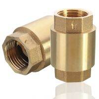 1/2 NPT Brass In-Line Spring Vertical Check Valve Copper Control Tool 200WOG