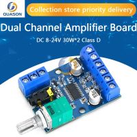 DY-AP3015 DC 8-24V 30W * 2 Class D Dual Channel เครื่องขยายเสียงดิจิตอลสเตอริโอพลังงานสูงพร้อมโพเทนชิออมิเตอร์ปรับระดับเสียงได้