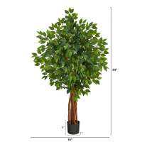 ต้นไม้ประดิษฐ์ Ficus ซุปเปอร์กับลำต้นธรรมชาติ