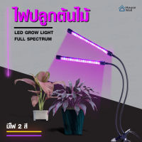 ไฟปลูกต้นไม้ ไฟช่วยต้นไม้ตัวเร็ว Led Grow Light Full spectrum ปรับได้3แสง ตั้งเวลา หลอดไฟปลูกต้นไม้ โคมปลูกต้นไม้