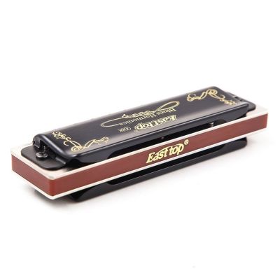 Blues Harmonica 10 Buracos Órgão Instrumentos Musicais Chave A B C D E F G Preto Com Caixa T008K