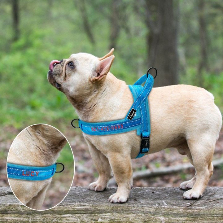 papi-pet-เบาะผ้าสักหลาดแบบกำหนดเอง-เสื้อกั๊กควบคุมสุนัขสะท้อนแสงไม่รัดสายรัดสุนัขแบบดึงเหมาะสำหรับสุนัขขนาดใหญ่เล็กเฟรนช์บูลด็อก