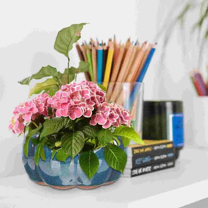 pot-ceramic-planter-flower-pots-succulent-miniplant-container-porcelain-pumpkin-bonsai-plantingdecorative-flowerpot-flowerpots