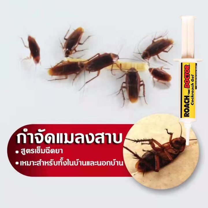 roach-e-เจลล่อแมลงสาบ-เจลกำจัดแมลงสาบ-กำจัดแมลงสาบ-ขนาด-30g